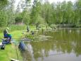 Temse 2010