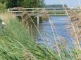 Bruggetje over de Tonnekreek 2