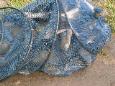 Totaalvangst van 30.700gr