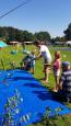 IMG-20190824-WA0014